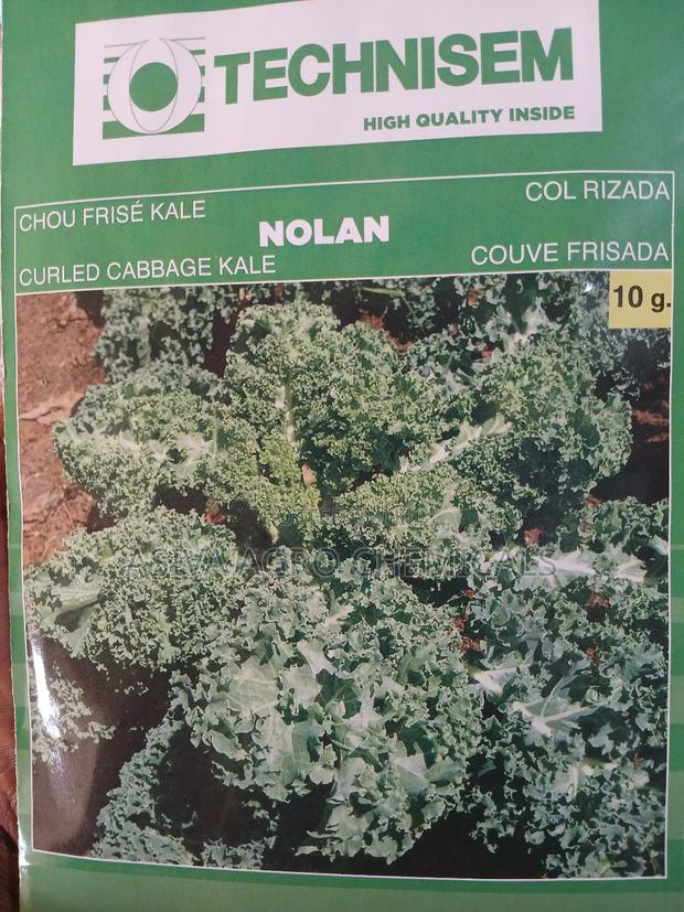 Kale Seeds · Photo 2