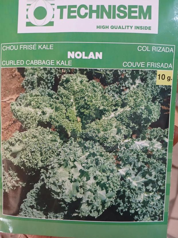Kale Seeds · Photo 3