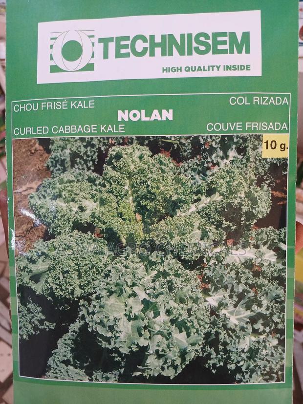 Kale Seeds · Photo 4