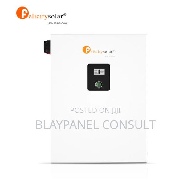 100ah 48v Felicity Lithium Ion Battery · Photo 2