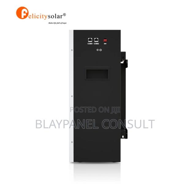 100ah 48v Felicity Lithium Ion Battery · Photo 3