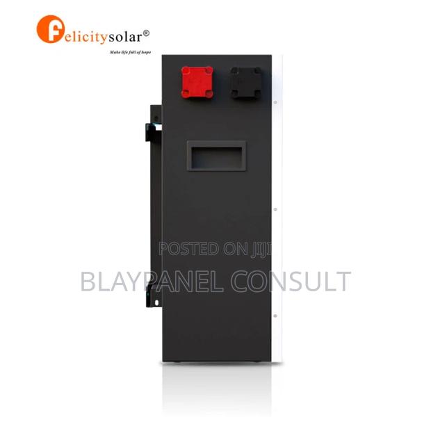 100ah 48v Felicity Lithium Ion Battery · Photo 4