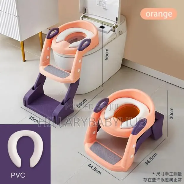 3 In 1 Toilet Seat Ladder And Potty · Photo 1