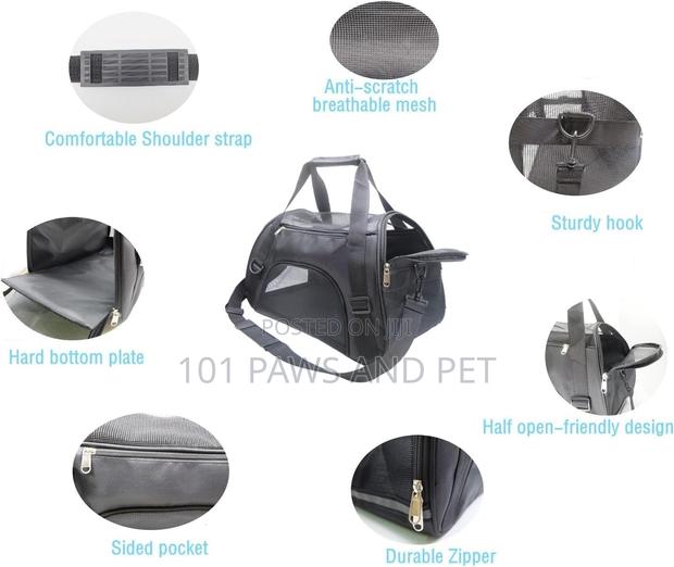 Pet Bag Available · Photo 2