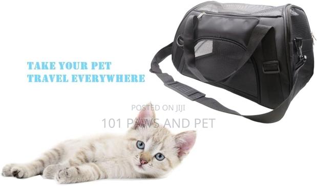 Pet Bag Available · Photo 6