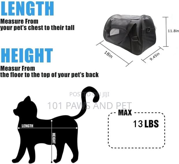Pet Bag Available · Photo 4