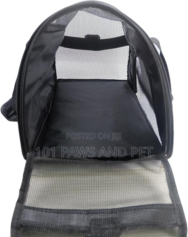 Pet Bag Available · Photo 5