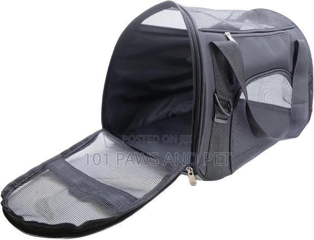 Pet Bag Available · Photo 3