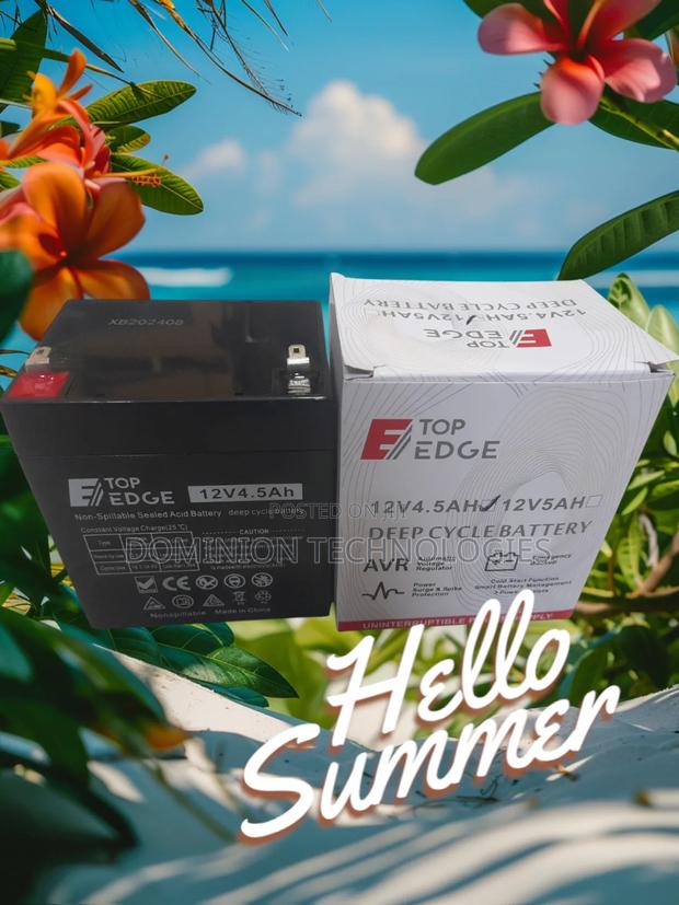 Top Edge 12V 4.5ah UPS Battery · Photo 2