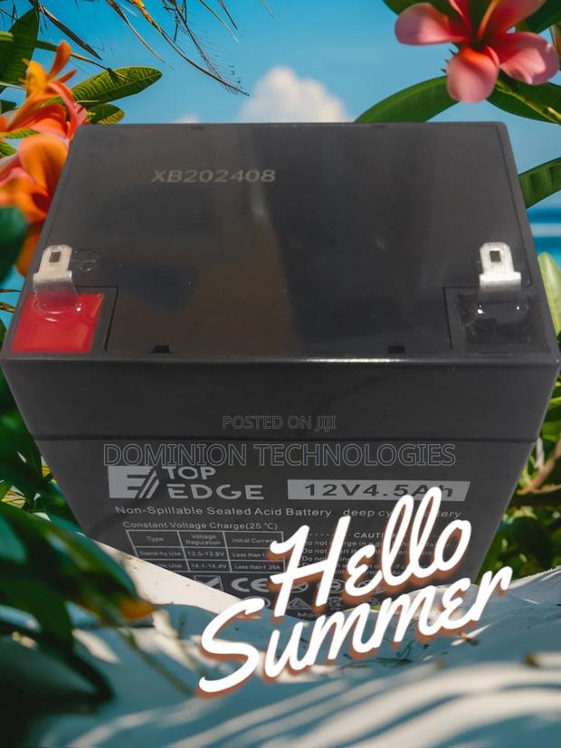 Top Edge 12V 4.5ah UPS Battery · Photo 4