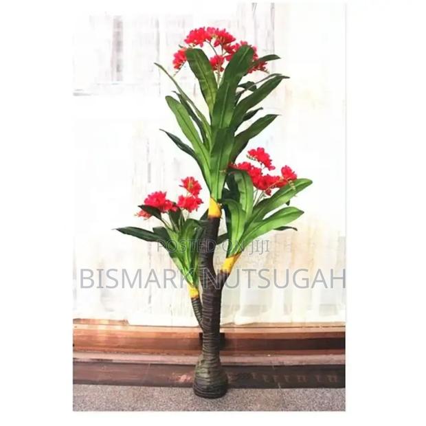 Plant For Sale · Photo 3