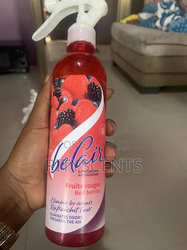 Affordable but Nice Air Freshener(Belair ) · Photo 3