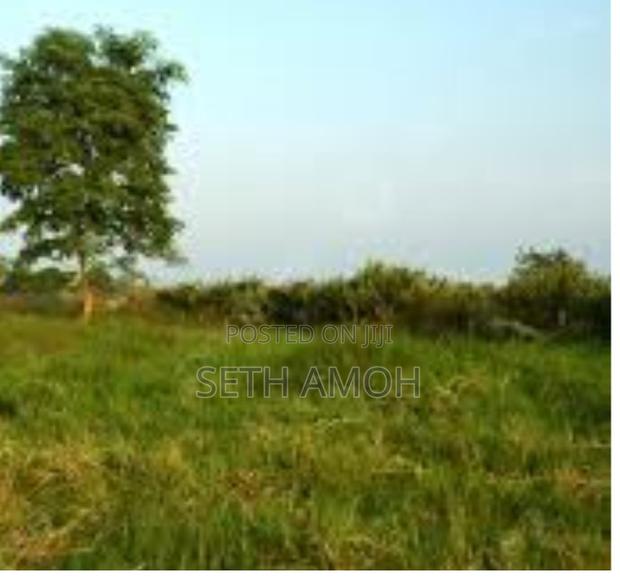 A Plot of Land for Sale · Photo 1
