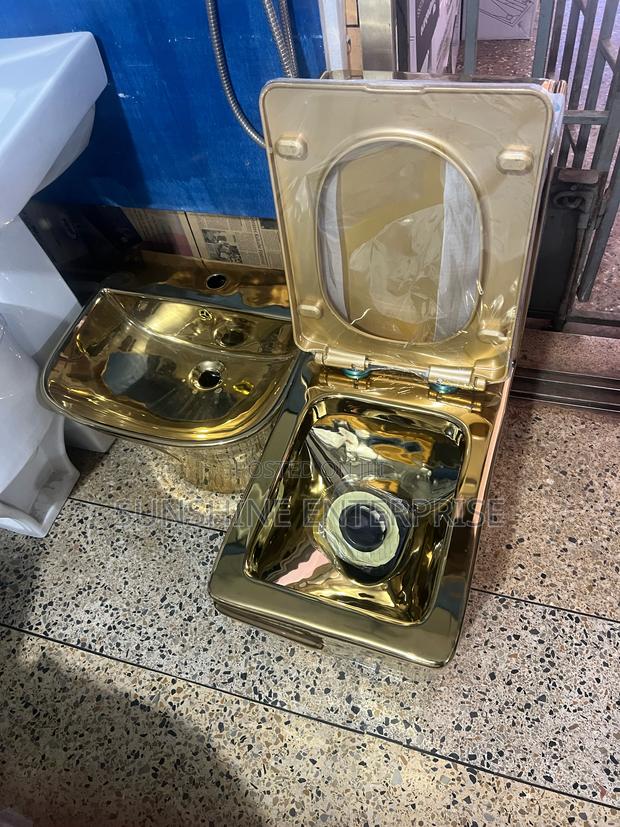Gold Water Closet With Basin · Photo 2