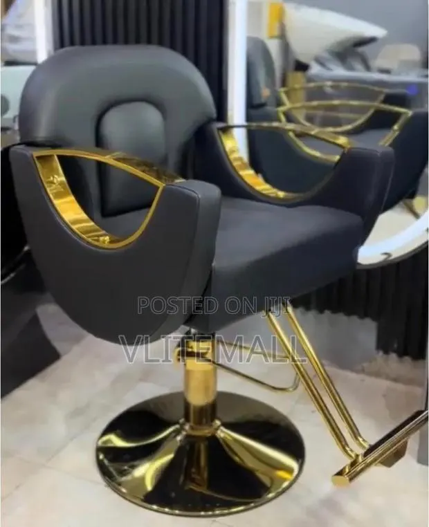 Luxurious Saloon Chairs · Photo 1