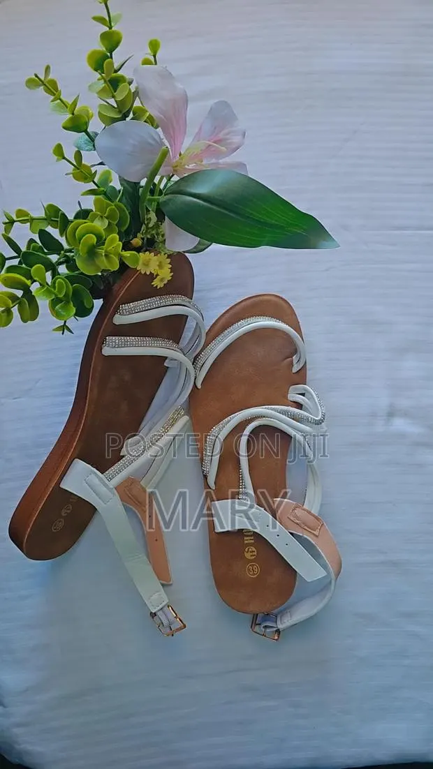A Pair of Flat, Strappy Women's Sandals · Photo 1