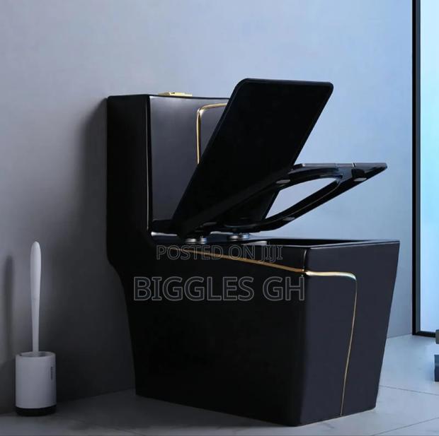 Black and Gold Wc · Photo 1