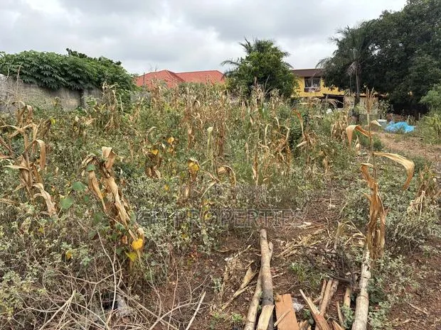 One Full Plot for Sale at Tuc,Kumasi. · Photo 1