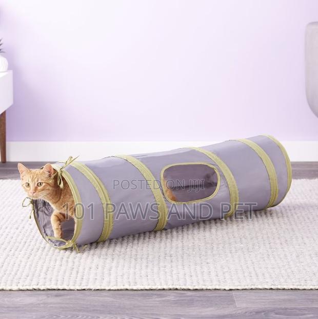 Cat Tunnel · Photo 3