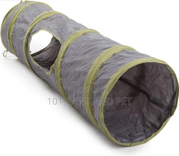 Cat Tunnel · Photo 4