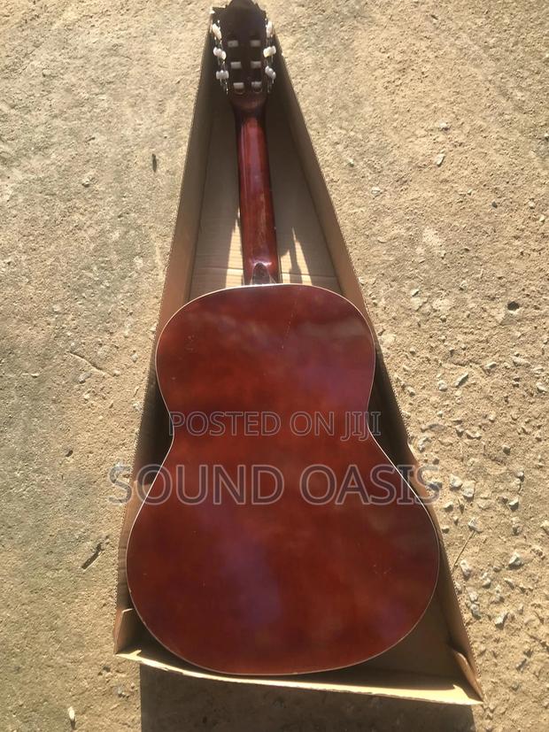 Professional Acoustic Guitar · Photo 3