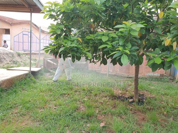 Fumigation · Photo 2
