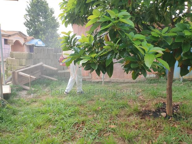 Fumigation · Photo 3