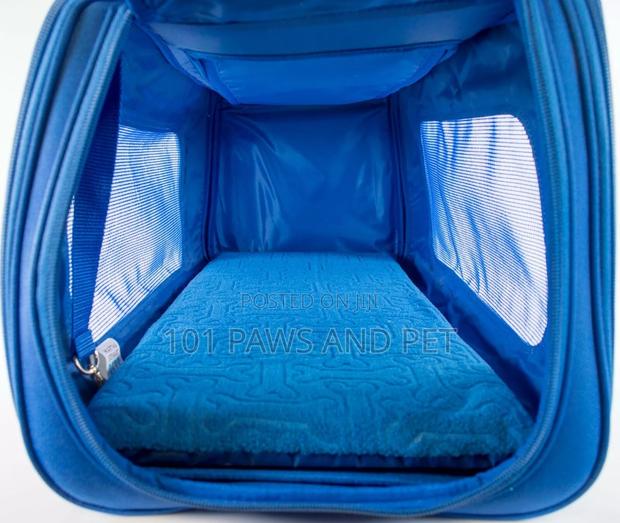 Martha Stewart Pet Carrier · Photo 1