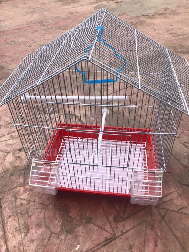 Ringneck Parrot Cages · Photo 2