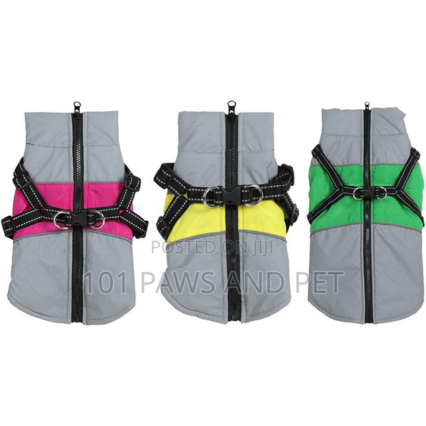 Single Clever Paws Large Harness Dog Coat in Assorted Styles · Photo 1