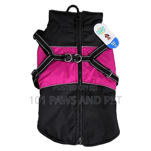 Single Clever Paws Large Harness Dog Coat in Assorted Styles · Photo 6