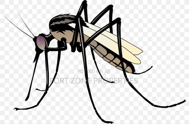 Mosquitoes,Bedbugs,Cockroaches Fumigation · Photo 3