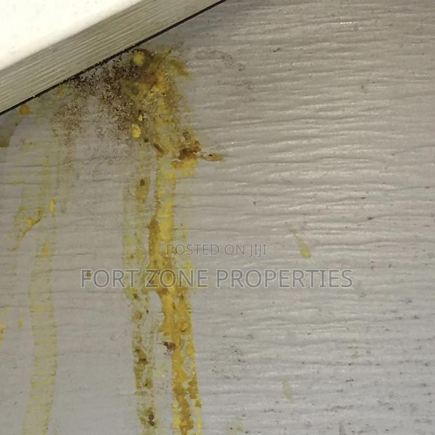Termite ,Coackrohes and Antes Fumigation Now! · Photo 4