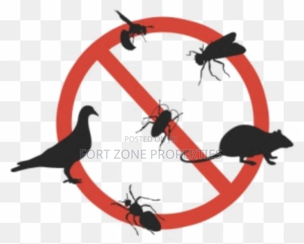 Insects Away From Your Home Now! · Photo 6