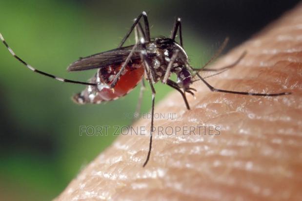 Insects Away From Your Home Now! · Photo 8