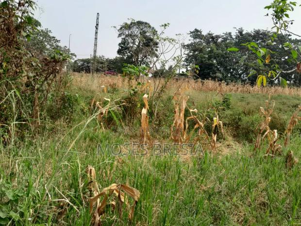 Plot of Land Close to Water and Light
