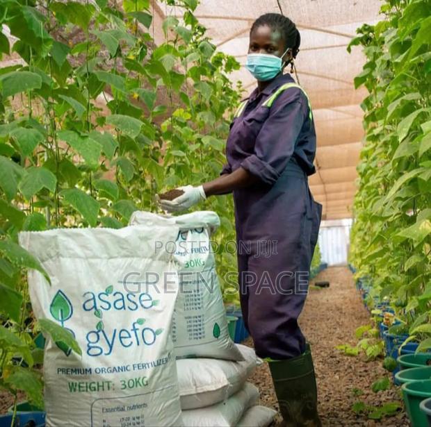 Asase Gyefo Compost · Photo 3