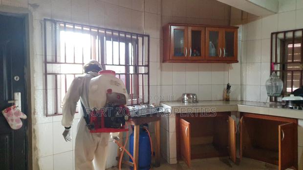 Clean All Cockroaches and Termites Now · Photo 3