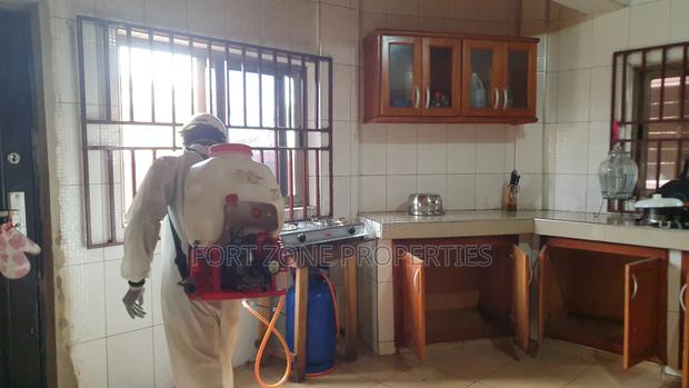 Clean All Cockroaches and Termites Now · Photo 4