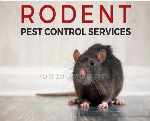 Rodents and Reptiles Fumigation · Photo 1