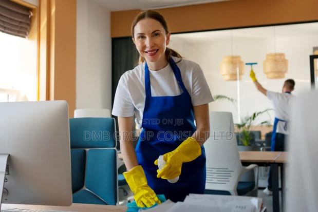 Home Home Cleaners · Photo 1