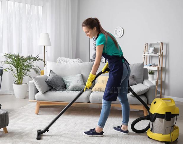 Home 33 Home Cleaner · Photo 1