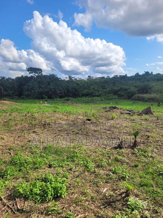 Plot for Sale at Santa'si Darko · Photo 3
