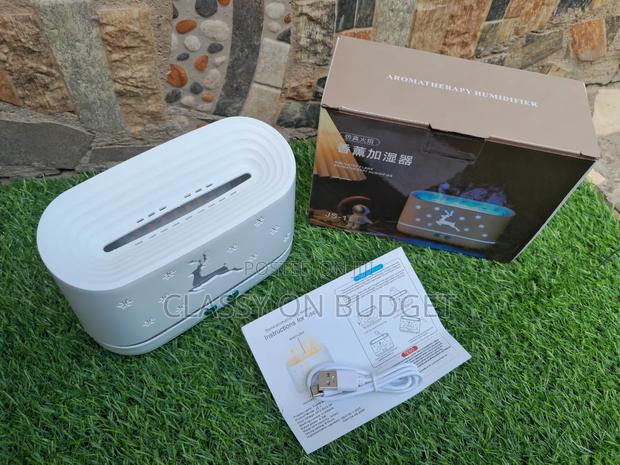 Stimulated Flame Aromatherapy Humidifier/ Diffuser · Photo 1