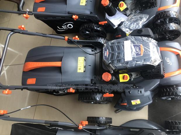 Newest Lawn Mower Leo 4hp · Photo 1