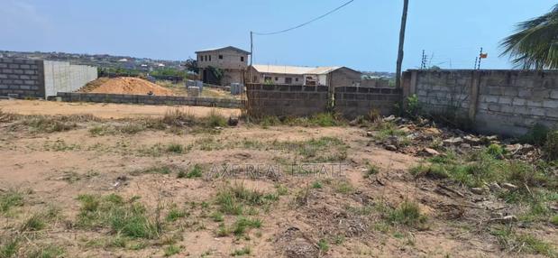 Black Friday Discount Promotion on Plot - Tema Community 25 · Photo 1