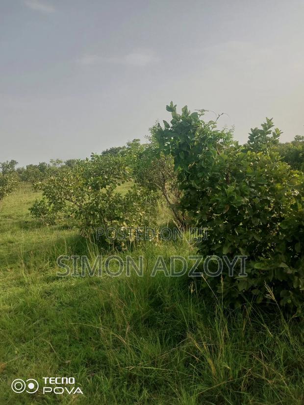 10,000 Acres Farm Land for Sale · Photo 1