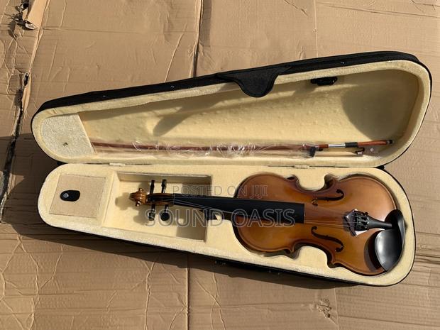 4/4 Full Size Violin With Complete Accessories(Wholesale) · Photo 7