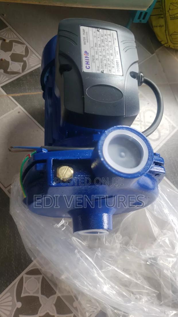 Chimp 0.5 Horsepower Water Pump · Photo 2