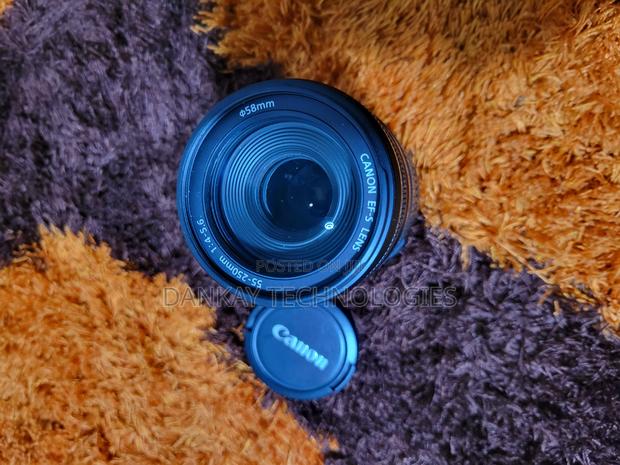 Canon 55 - 250mm F/4–5.6 Is · Photo 3